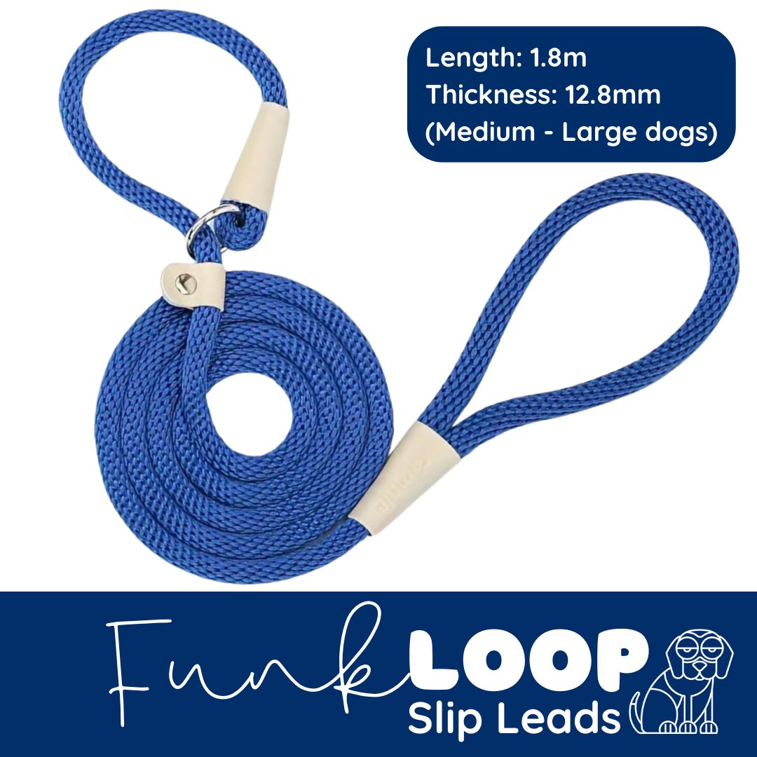 funkLOOP - Slip Leads