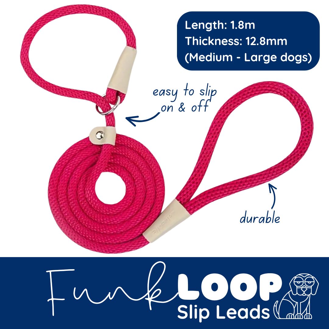 funkLOOP - Slip Leads