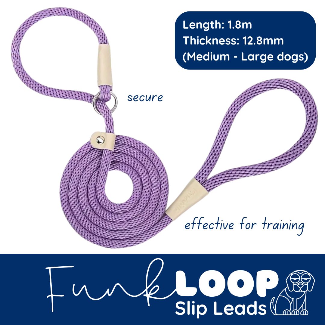 funkLOOP - Slip Leads