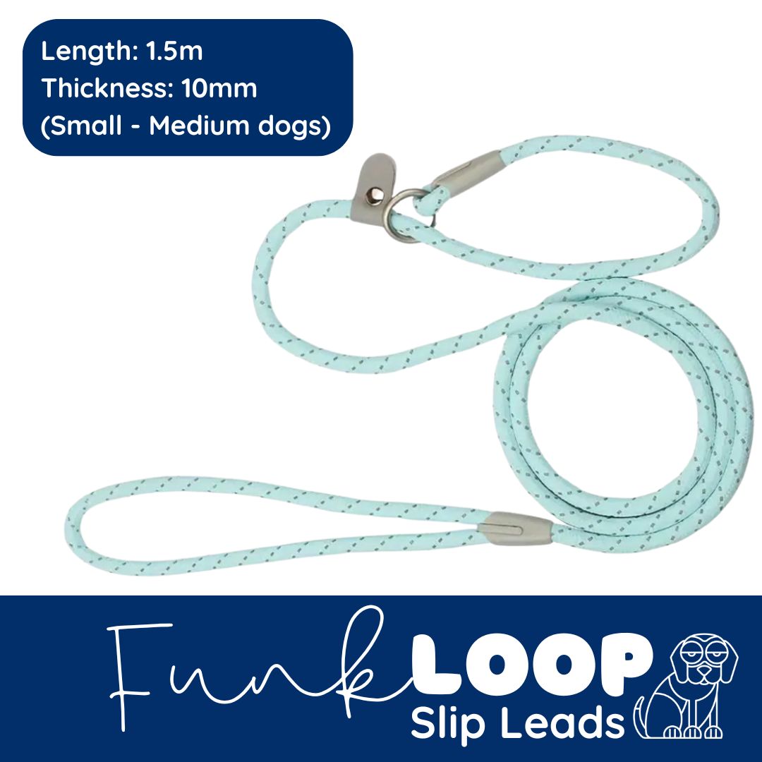 funkLOOP - Slip Leads