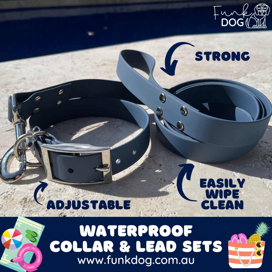 Funky dog outlet leads